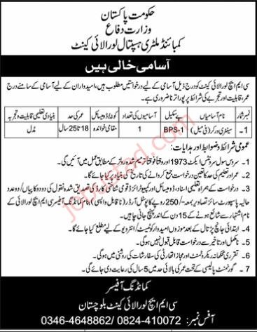 New Govt Jobs Ministry of Defence In Balochistan December 2024 New Govt Jobs Ministry of Defence In Balochistan December 2024