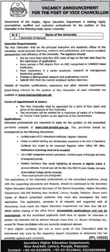 New Govt Job In University Of Narowal December 2024 New Govt Job In University Of Narowal December 2024